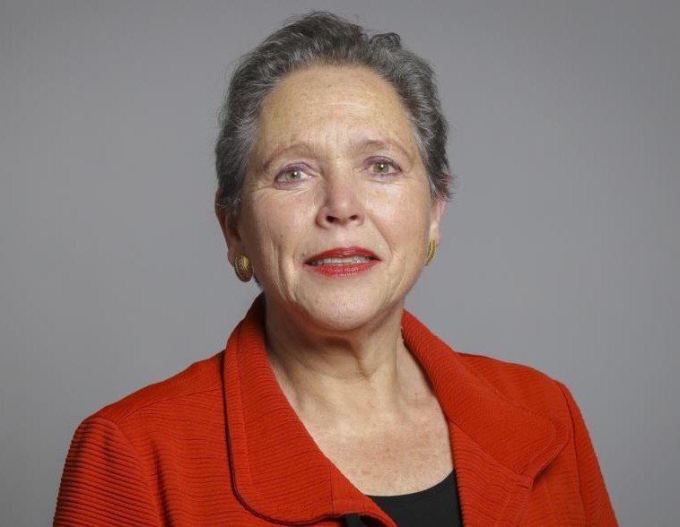The Rt Hon. the Baroness Kramer PC