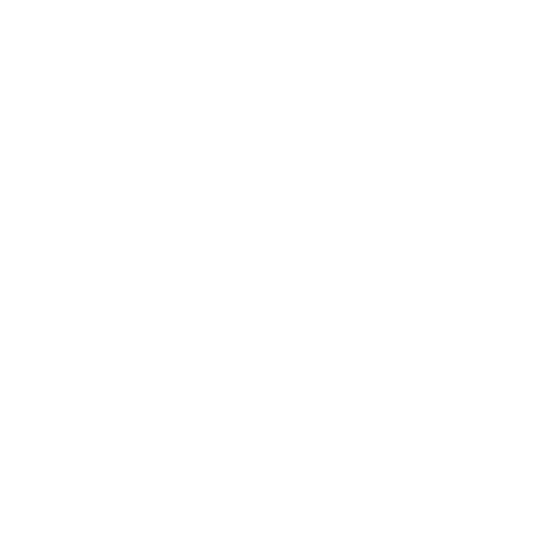 SWF-Summit Logo